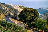 Paesaggio dell'interno del Gargano, a tratti aspro e arido, fatto di muretti e di masserie.